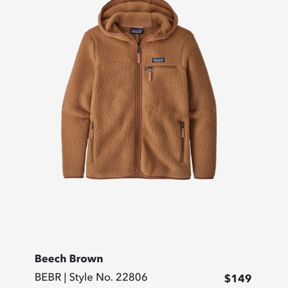 Patagonia Retro Pile Fleece Hoody